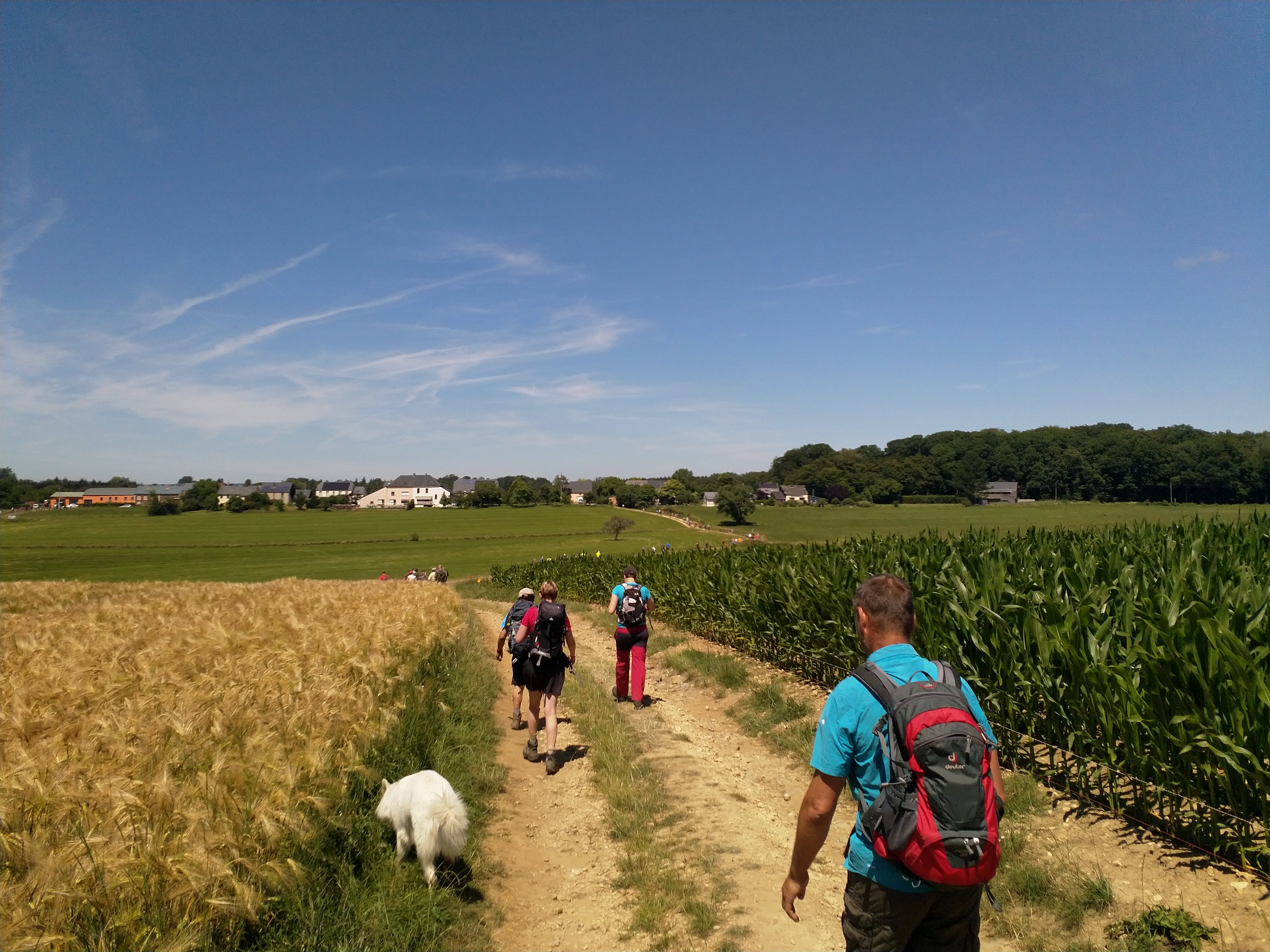 La marche à pied pour sortir du burn out