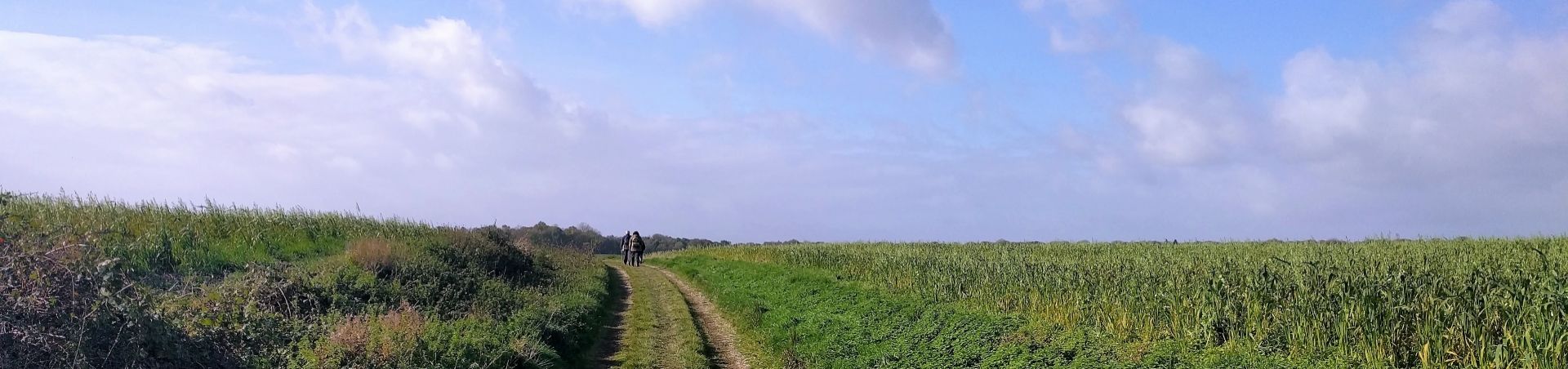 Un Autre Moi, coaching en begeleiding
